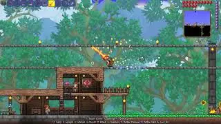 Terraria expert mode live.