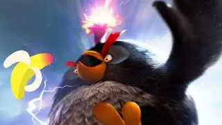 Angry birds, 3D birds attack.