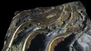 3D Goniatite  Close Up, Middle Devonian