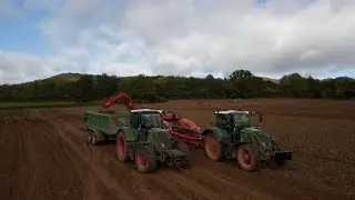Potato harvest 2020 in Herefordshire
