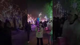 New year in lahore / celebration fireworks