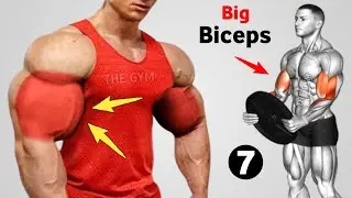 7 Biceps Workout at Gym for Beginners to Advanced
