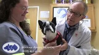 Mayfair Animal Hospital in Cary NC