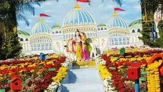Annual flower show 2026 #vedio#flowers#show#viral#ytvedio 