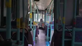 Metroline DE1619 YX58DWZ (Neutral High Rev)
