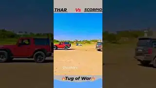 Thar vs Scorpio  tocan #short