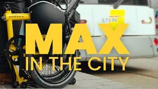 Max in the city (Antwerp, Belgium)