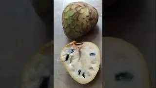 Cherimoya fruit harvest 🍈 close-up in cross-section / Урожай черимойя 🍈 крупным планом в разрезе +2