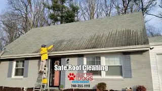 Roof Cleaning Southern Md