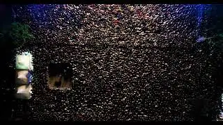Crowd Cheering and Applauding Sound Effect (Royalty Free) 4K