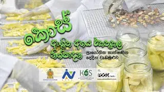 කොස් ආශ්&zwj;රිත අගය එකතුකල නිශ්පාදන තාක්ෂණික වැඩමුළුව