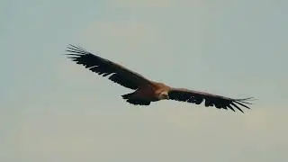 Las Hurdes: tierra de biodiversidad.