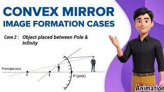 Image formation in Convex mirror with Animation | Easy explanation for class 9- 10 science 