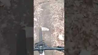#bikes #cycling #mountainbiking #mtb #marinbike #bike #bikeride