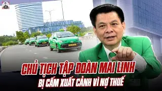 CHỦ TỊCH TẬP ĐOÀN MAI LINH BỊ CẤM XUẤT CẢNH VÌ NỢ THUẾ: TỪ ÔNG TRÙM NGÀNH TAXI MÀ GIỜ Ê CHỀ QUÁ