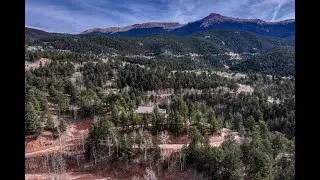 1131 Pikes Peak Dr Lauren Stadjuhar LIV Sotheby's International Realty