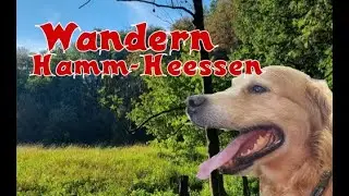Wandern durch den Naturerlebnispfad in Hamm- Heessen!   4K #wandern #wandernmithund