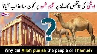 Why did the punishment come on the people of Thamud(Samood)? The painful incident of the camel
