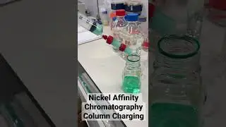 Nickel Affinity Chromatography Column Charging