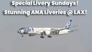 4K| Special Livery Stunning! Stunning ANA Special Liveries Dreamliners At LAX!