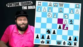 Nimzo Indian Beginner Queenside Play: Game Review