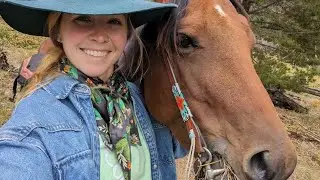 Desensitizing: Training Your Horse to be Comfortable with Equine Earplugs