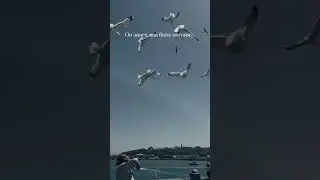 Я просто иду.Без цели.Но с чувством.Иногда этого достаточно.#япростоиду#istanbulwalk#soft #istanbul