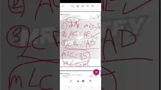 Prep 2 revision part 1