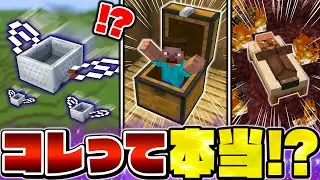 【マイクラ】ウソみたいな隠し要素・謎仕様を検証したら...衝撃の事実が！？【Minecraft・マインクラフト】