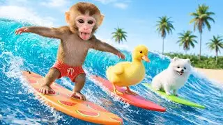 Cute Milo Monkey Swims in a Pool with 1,000,000 Ball Pit Balls and Rescues Lost Ducklings