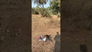 Day 25 Home Skating Training😍#shorts #kids #skating #beginners #indianskaterdks #viral #shortvideo