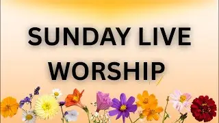 JESUS LABHANA HOLY SOCIETY is live