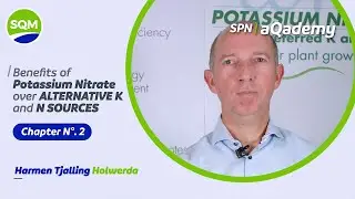 SQM Nutrition - CHAPTER 02 - Benefits of Potassium Nitrate over alternative K and N sources