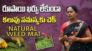 Check for weed problem without cost |Organic Weed Controlling Method #organicfarming #weedcontrol