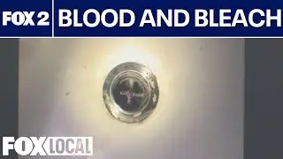 Blood and bleach found in murder suspect's home in Ashley Elkins case
