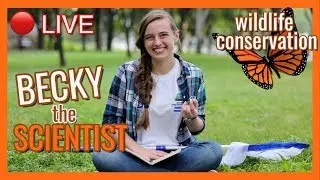 Becky the Scientist studying wildlife conservation | Butterflies and Forest Fires | Women in STEM