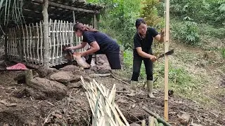 Lan Thi San _Built a house for chickens, stole some things when her husband's parents were away.