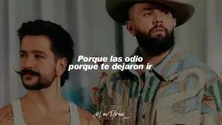 una vida pasada, Camilo,carin le&oacute;n (letras)