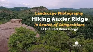 Landscape Photography | Hiking Auxier Ridge Trail in Search of Compositions at the Red River Gorge