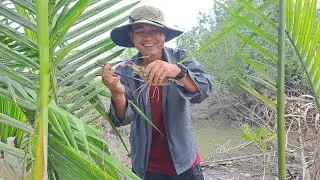Cống chà, rác là nơi ẩn náu lý tưởng của những bé Tôm