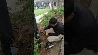 pole light repair