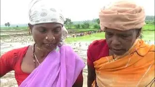 Tribals singing traditional and remedy songs at the time of paddy cultivation.