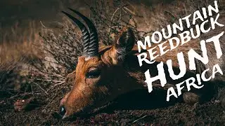 Africa Mountain Reedbuck Hunting.  The Royal MacNab
