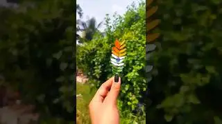 Indian flag on leaf #trending#video#shorts#short#ytshorts#yt#leaf#indianflag#indian#india