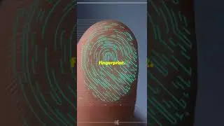 Encryption vs Encoding vs Hashing:Quick Guide! 