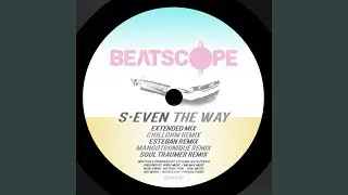 The Way (Mangotronique Remix)