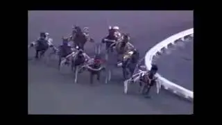 1989 Blue Bonnets CONSECON Quebec Breeders Cup Final