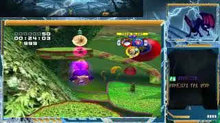 Sonic Heroes #11 - Wie Unnötig