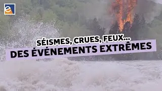 S&eacute;ismes, crues et paysages : des taureaux dans un magasin de porcelaine [Philippe Steer]
