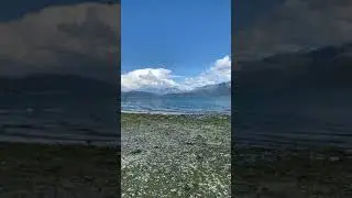 Resurrection bay Alaska